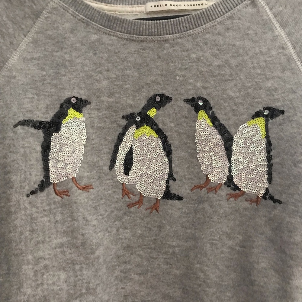 American Eagle penguin sweatshirt